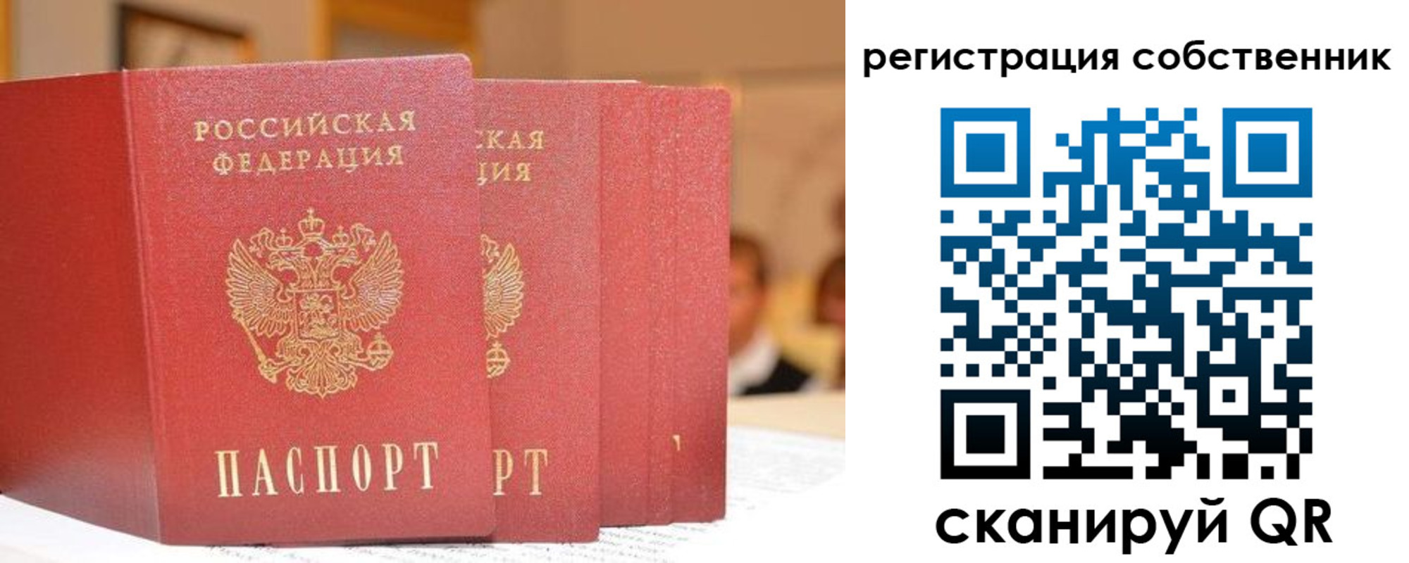 пропишу в квартире в Зеленогорске